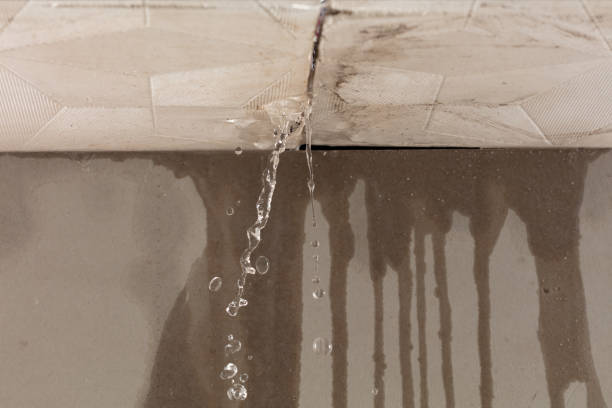 Professional Sewage Cleanup technician working in Gillett, WI